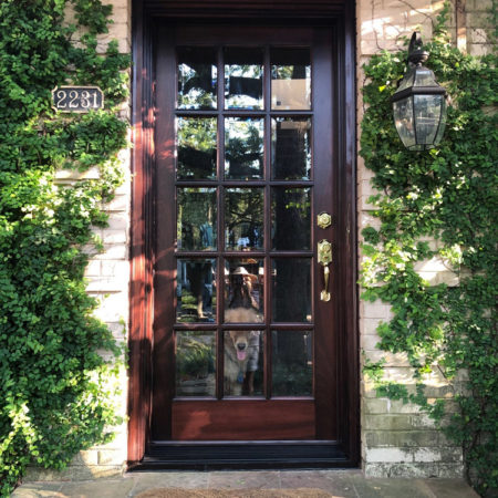 Gallery - Southern Front Door